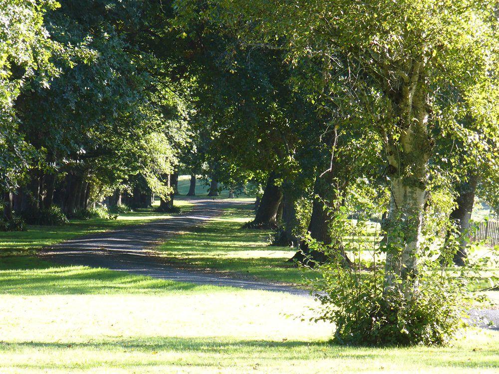 Oak Lane Lodge Hamilton Dış mekan fotoğraf