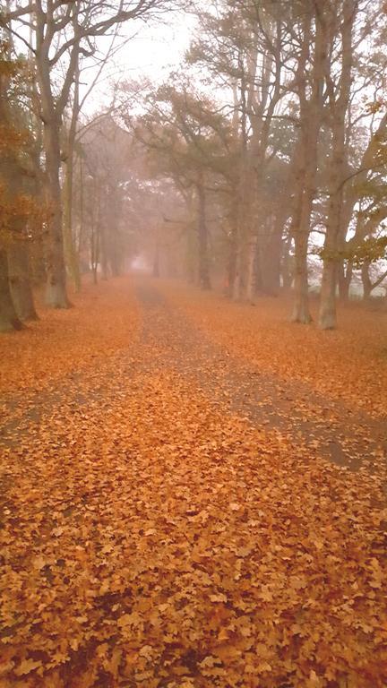 Oak Lane Lodge Hamilton Dış mekan fotoğraf