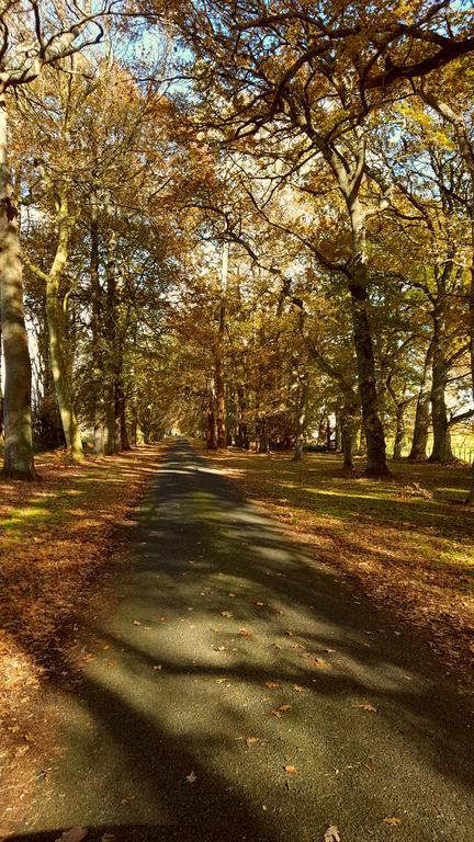 Oak Lane Lodge Hamilton Dış mekan fotoğraf
