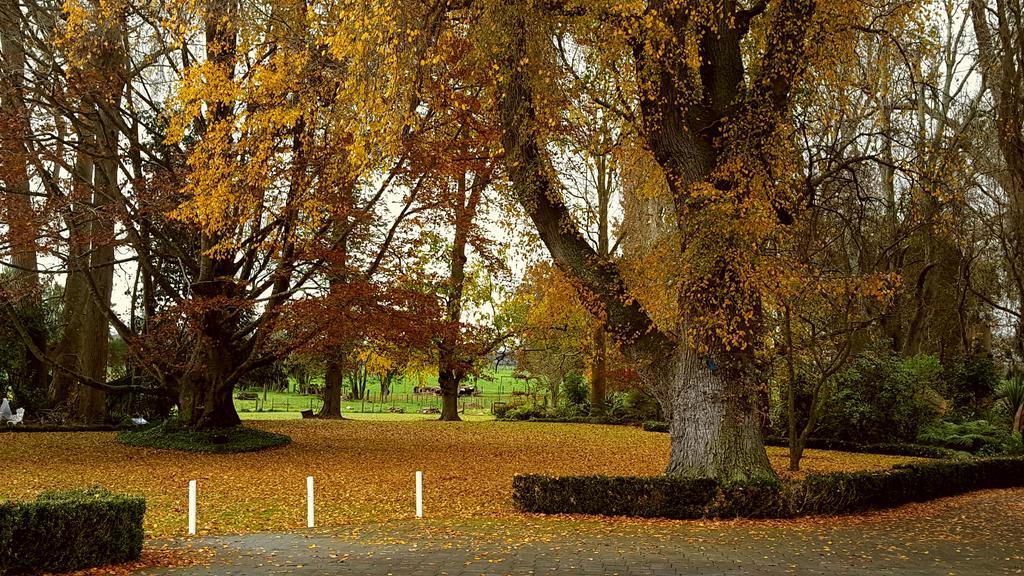 Oak Lane Lodge Hamilton Dış mekan fotoğraf